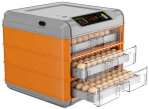 инкубаторы для яиц